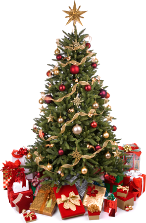 The history of the Christmas tree