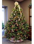 Decorating Christmas Trees