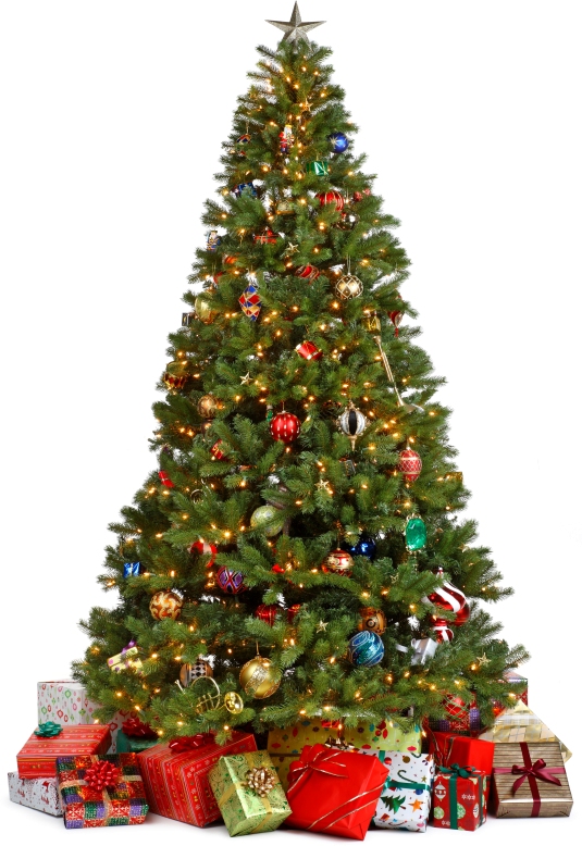 AltogetherChristmas com Christmas  Trees